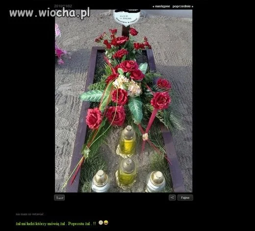 Podpis pod zdjęciem : 