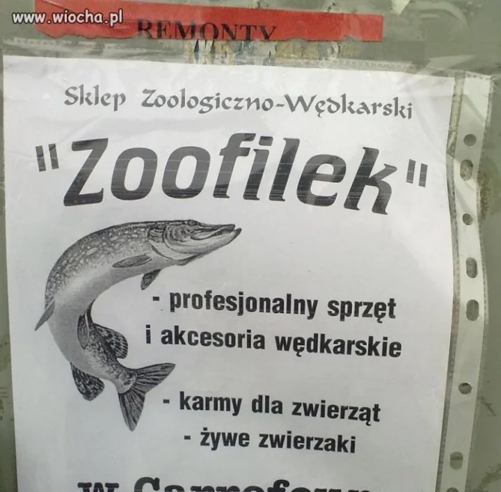 Sklep o nazwie "Zoofilek"