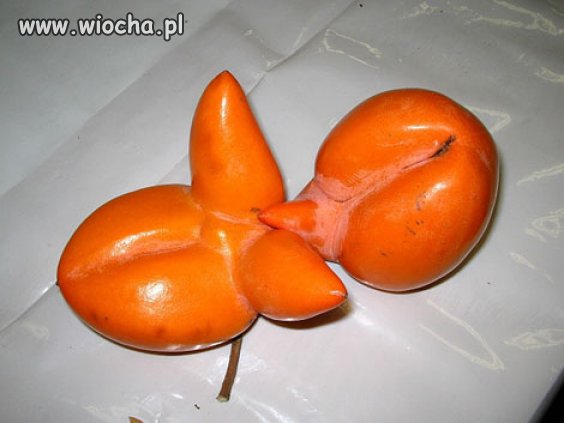 Lubisz owoce?