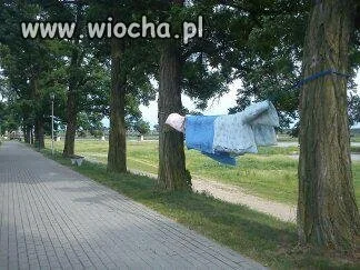 Nie ma to jak wietrzenie kołdry i poduszek 