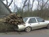 Z cyklu Polak potrafi