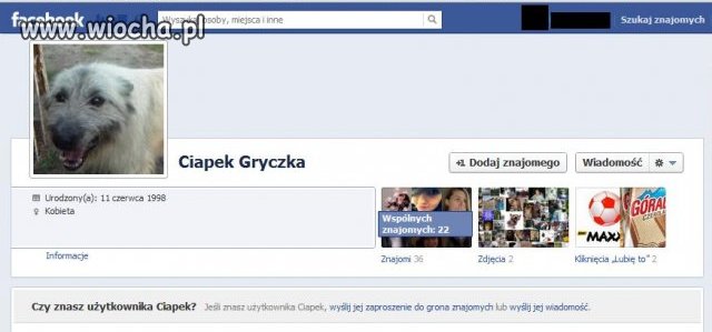 Pies na facebook'u