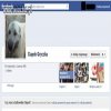 Pies na facebook'u
