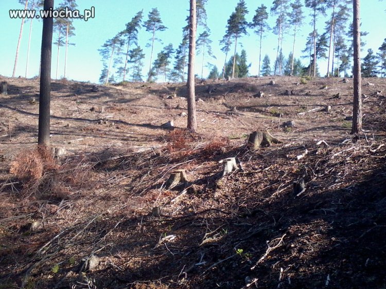 Racjonalna gospodarka zasobami naturalnymi