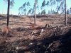 Racjonalna gospodarka zasobami naturalnymi