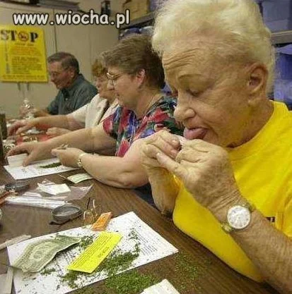 Mojej Babci wychodzą lepiej 