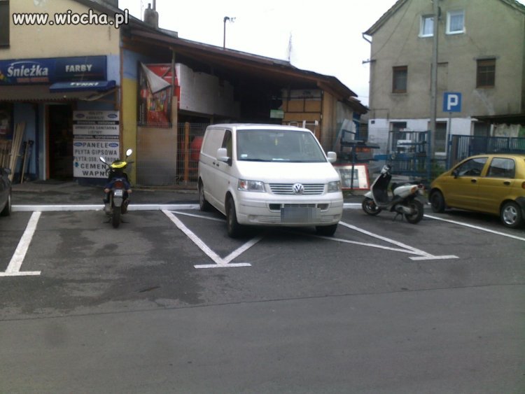 Gamonie z Leśnej k. Lubania