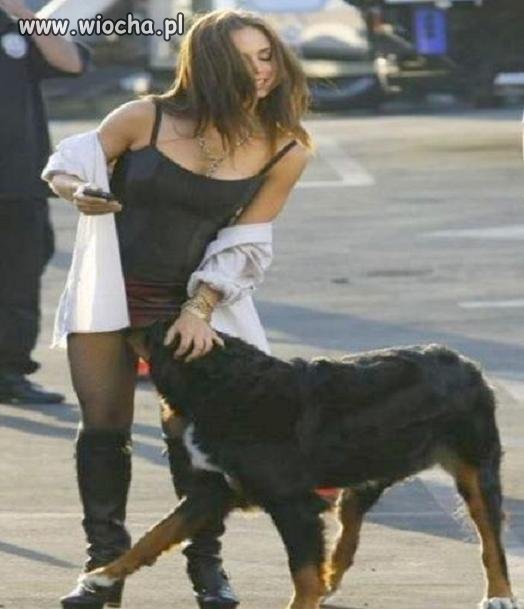 I zrobił jej piesek wiochę