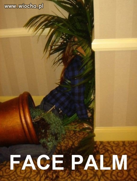 Face palm 