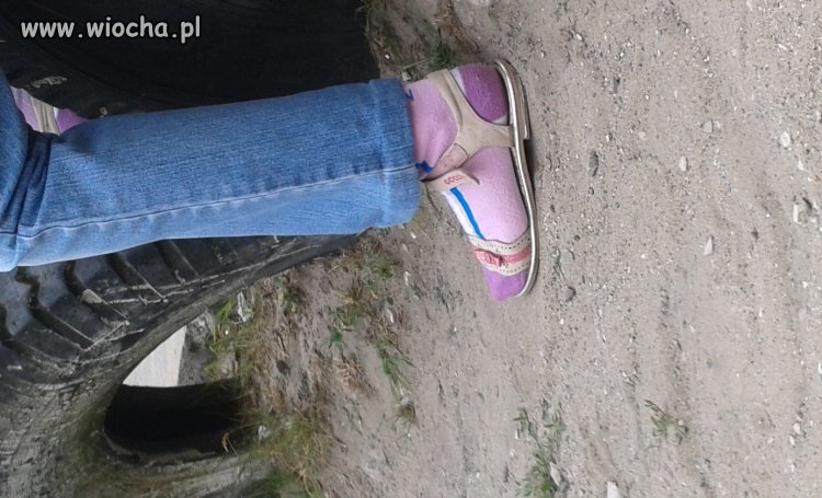 Nowa moda 