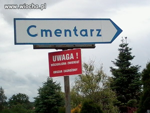 Czarny humor?