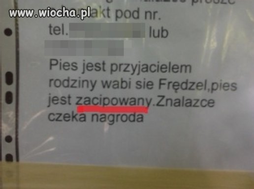 Poprawna polszczyzna