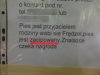 Poprawna polszczyzna