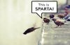 This is SPARTA