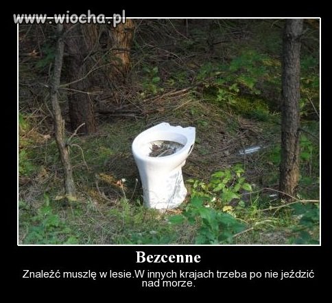 Znalezisko
