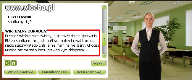 Wirtualny doradca