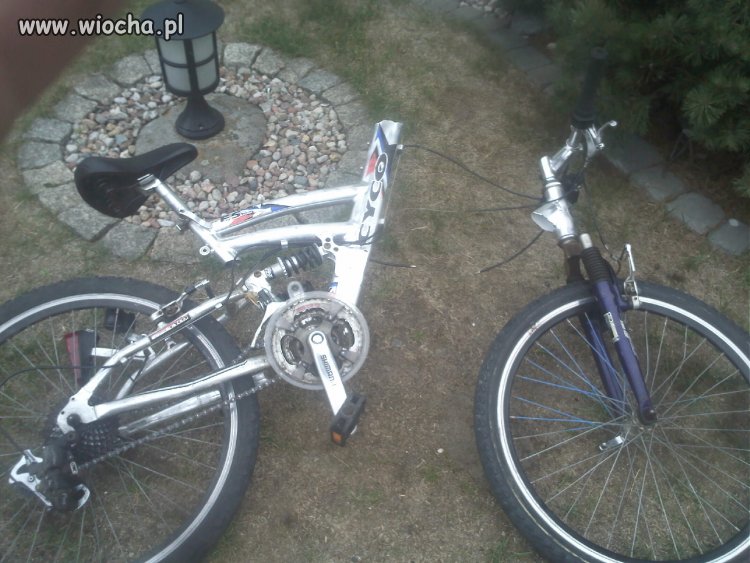 Znana Marka...Cyco