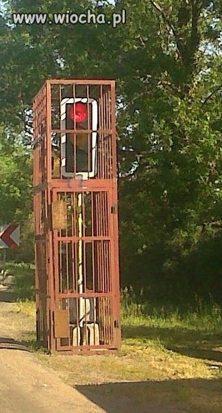 Wiadomo, że Polacy kradną