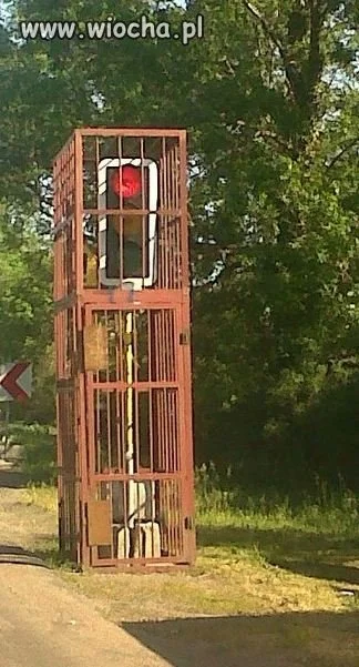 Wiadomo, że Polacy kradną