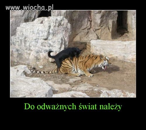 "Do odważnych 