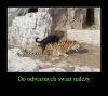 "Do odważnych 