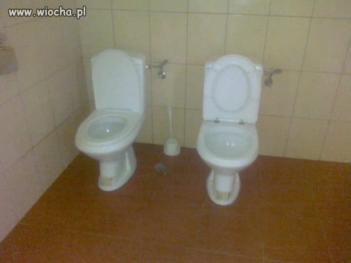 No i jak tu się skupić?
