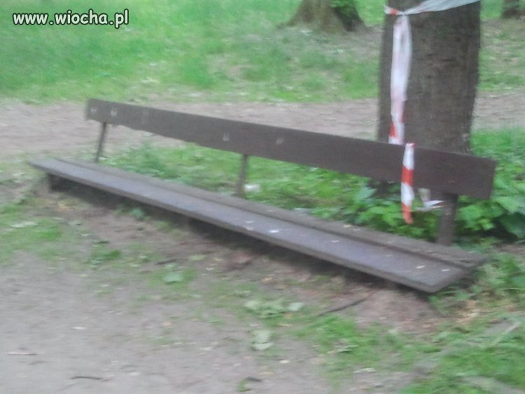 Ławka w parku 