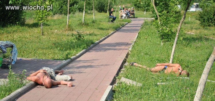 Słoneczny patrol