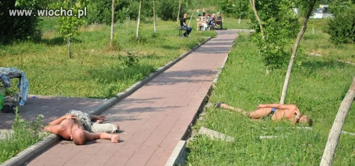 Słoneczny patrol