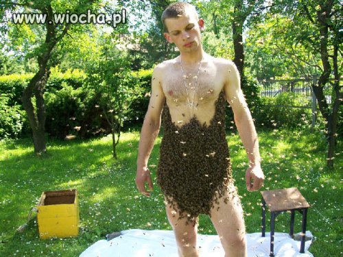 Po użądleniu będzie większy?
