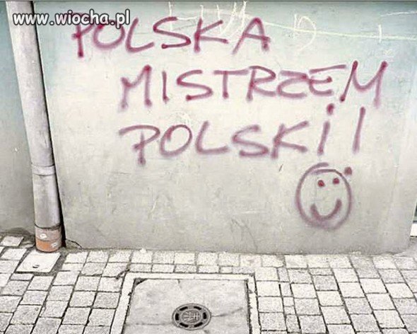 Po porażce w Euro 2012