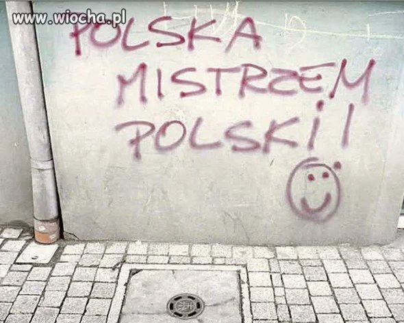 Po porażce w Euro 2012