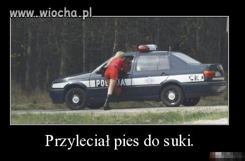 Co prawda to prawda