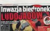 Biedronki ludojady...
