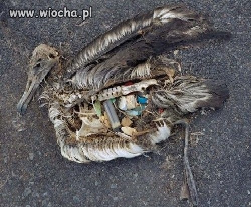 Zastanów się 2 razy zanim wrzucisz coś do wody