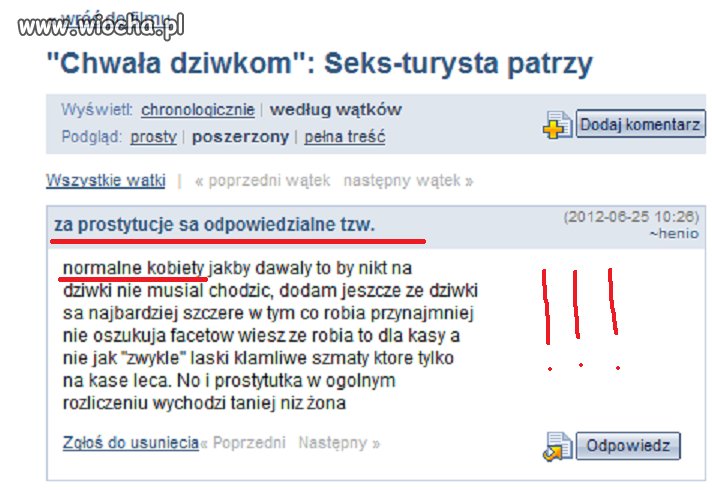 Wypowiedź jednego z internautów