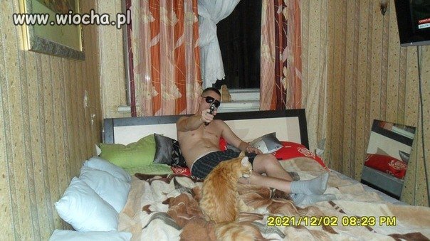 Gangsta