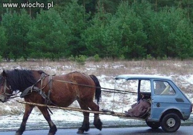 Polak potriafi chyba potrafi?