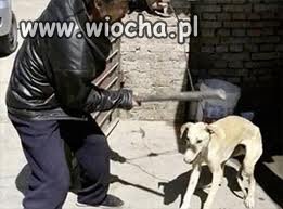 To jest dopiero wiocha...