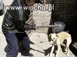 To jest dopiero wiocha...
