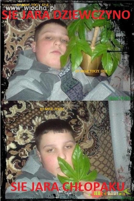 Sie jara dziewczyno