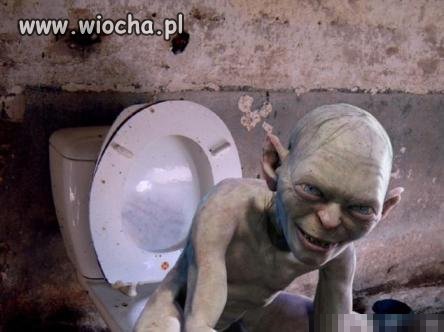 Władca kibla