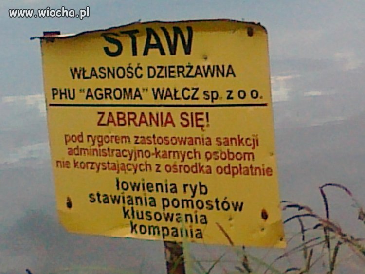 Lato 2012...