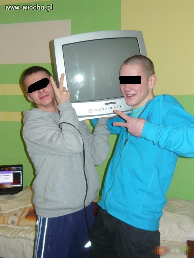 Lans na telewizor 