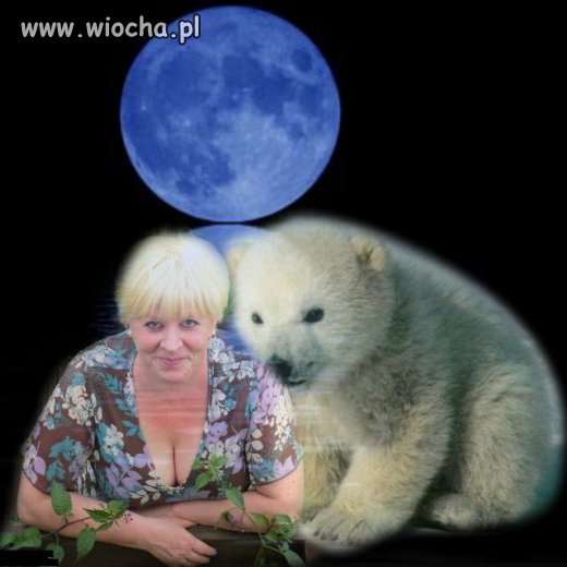 Romantyczna fotka z niedźwiadkiem
