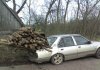 Pomysły ludzi mnie zadziwiają 