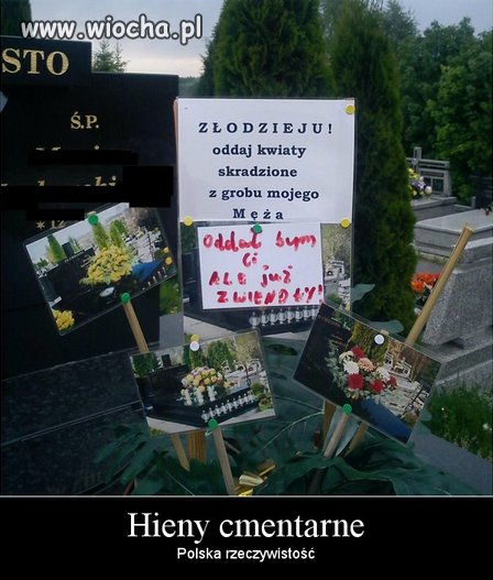Hieny cmentarne