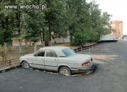 Stanął jak wryty...i tak stoi dalej.Wryty.