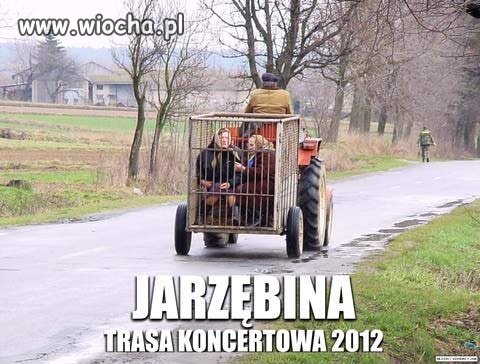 Prawda o zespole Jarzębina.