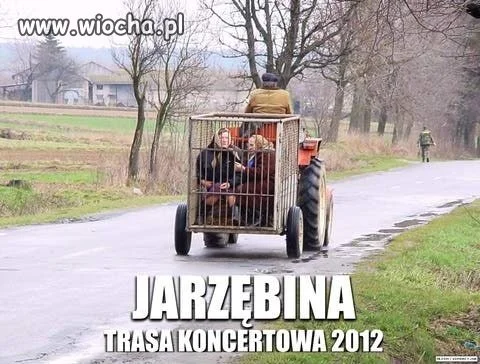 Prawda o zespole Jarzębina.